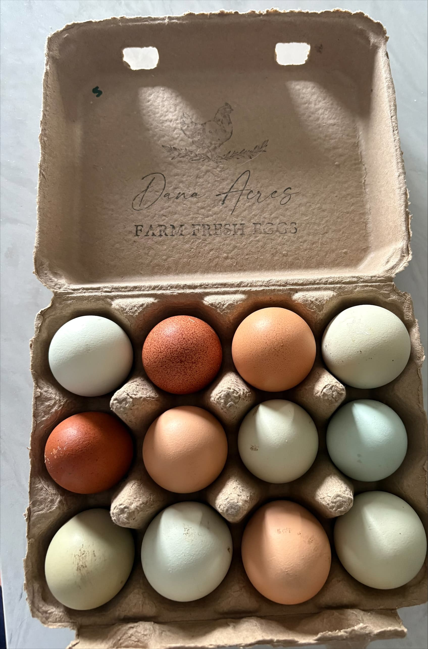 Dana Acres 16